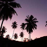 Бербирова В