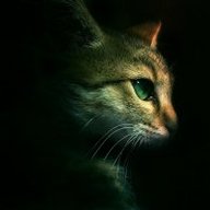 Литвинова Д