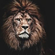 Н_Крижановская