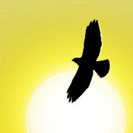 Конколович С