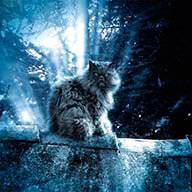 Анастасия_З