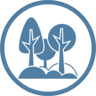 Костенкова Э