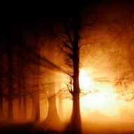 К_Калиниченко