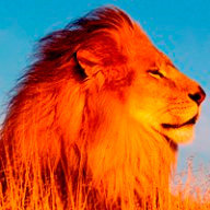 С_Разноглядова