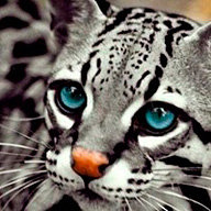 М_Стрежнева