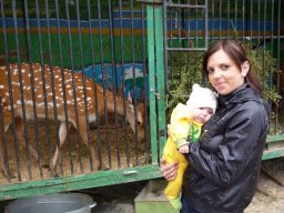 Ковальчук К