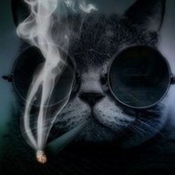 Добренькова А