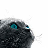 Прынцесска Т