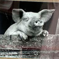 Селиверстова Я