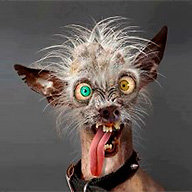 Всеволодова К