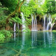 Борзикова Л