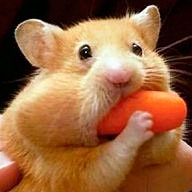 Боровкова О