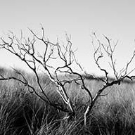 А_Лельникова