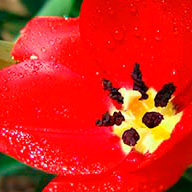 Александра_С