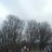 s_yeleonora