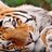 annan