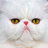 sh_yulya