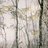 Uaeiewem
