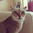 sh_yarina