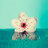 m_dariya