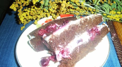 Шоколадный торт с вишней(вариант)