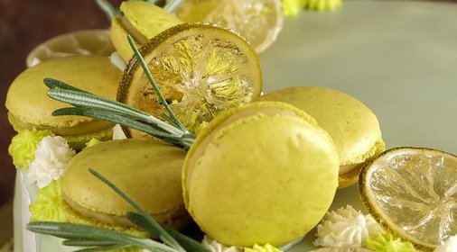 Торт Райская птичка