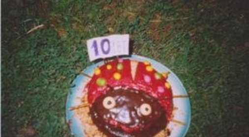 торт БОЖЬЯ КОРОВКА