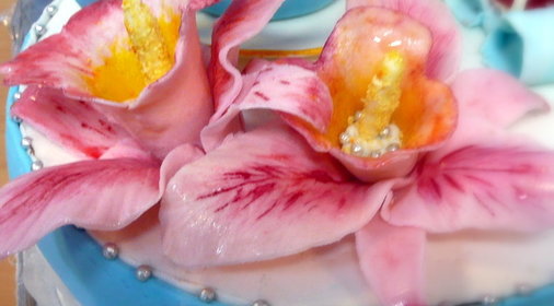 торт Синяя чашка