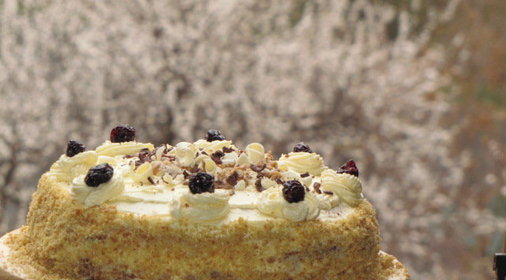 торт Сабина