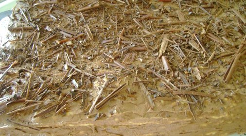 ТОРТ МИКАДО (МОЙ ВАРИАНТ)