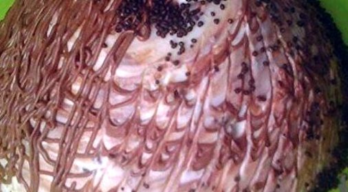 Торт «Санчо» коффейный с шоколадом