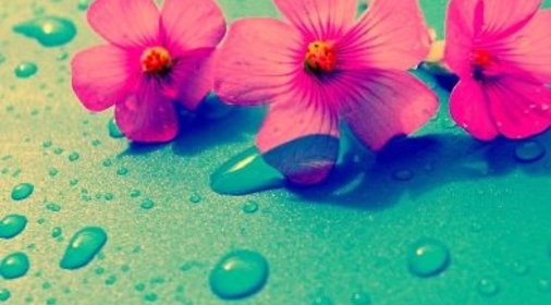 Торт с глазурью