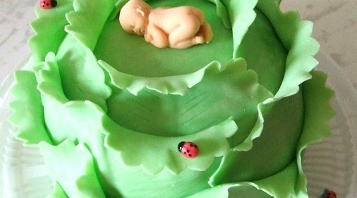 Торт Капуста с младенцем