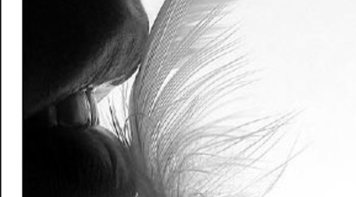 Торт «Север»