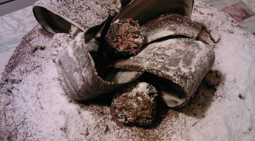 Торт Чернослив в шоколаде (вариант оформления)