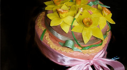 Мой торт два в одном