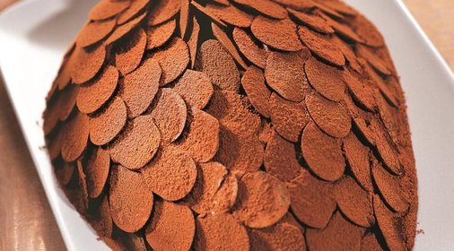 Торт Cосновая шишка