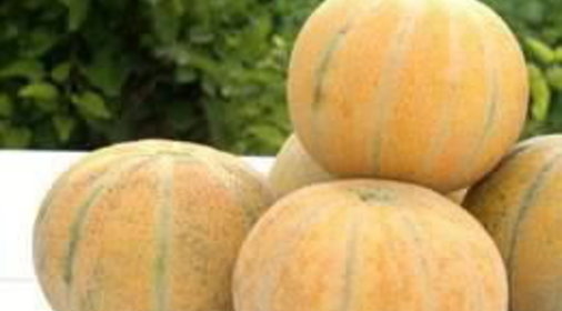 Слоеный торт-салат из сырых овощей