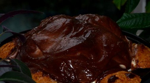 Торт Черепаха