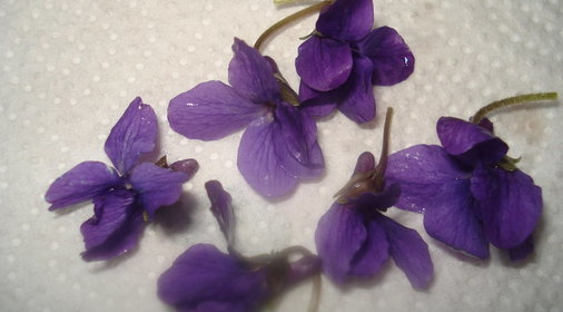 Съедобное украшение для торта в стиле викторианской Англии - не для оценки!