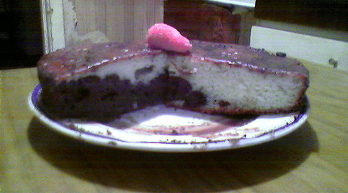 ТОРТ Зебра в шоколадной глазури