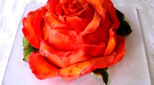 Торт из трюфельной массы