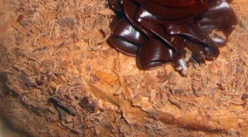 торт трюфель