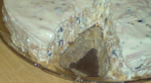 Яблочно-фисташковый торт без выпечки