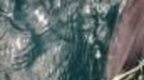 Торт «Птичье молоко» (рецепт Ахути д. д.)