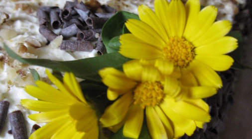 Торт Нежность