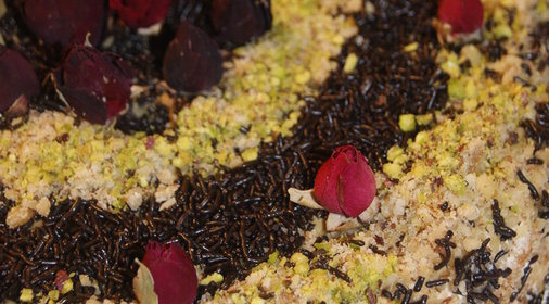 Торт Сметанник для Анны