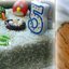 Торт для маленького юбиляра
