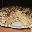 Медовый торт со сгущенкой