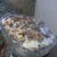 Тортик полешки с орешками